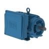 TS003106W22