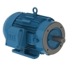 CT005502NPW22